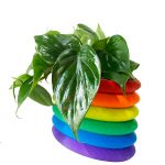 Rainbow Rings - Image 4