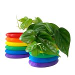 Rainbow Rings - Image 3