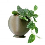 Sacred Circle - Image 3