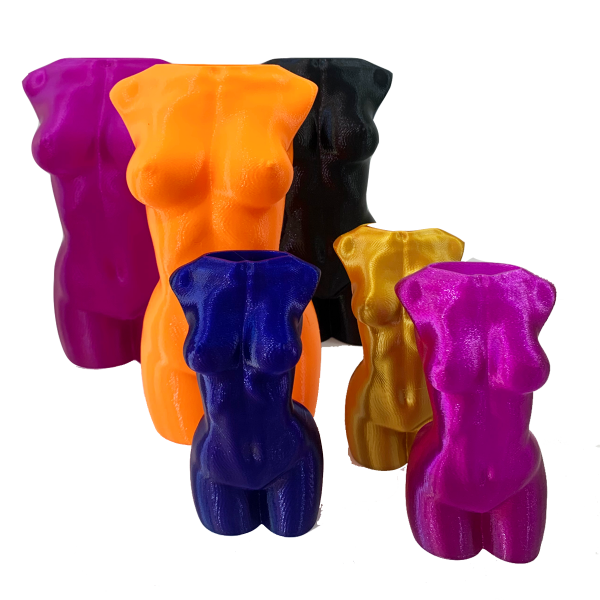 Golden Ladies - Image 5