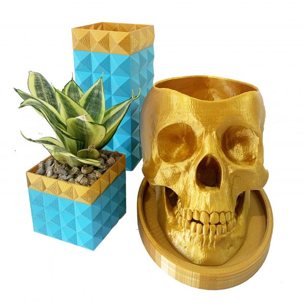 Fun Skulls - Image 5