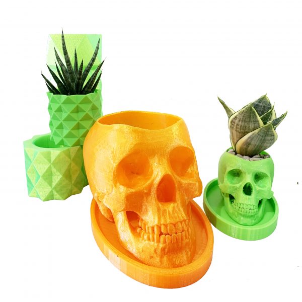 Fun Skulls - Image 3