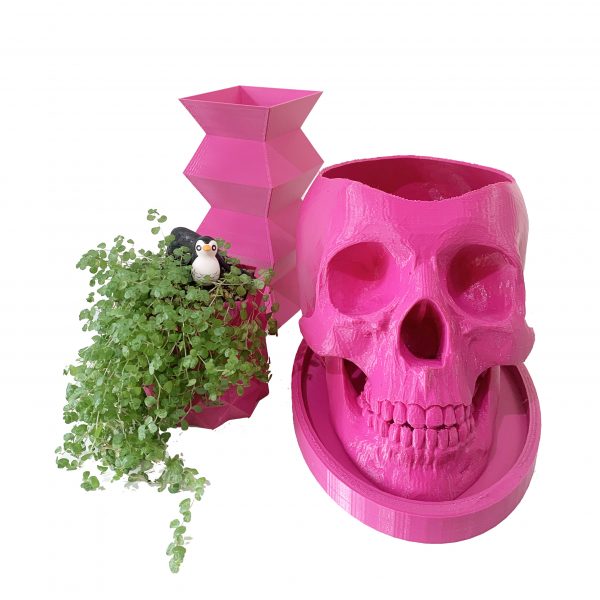 Fun Skulls - Image 4