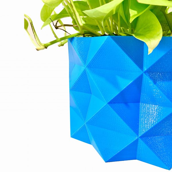 Neon Pothos Potted in Blue Alligator Pot - Image 2