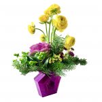 Field of Ranunculus Infinity - Image 4