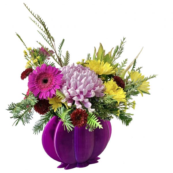 Spring to Fall - Image 2