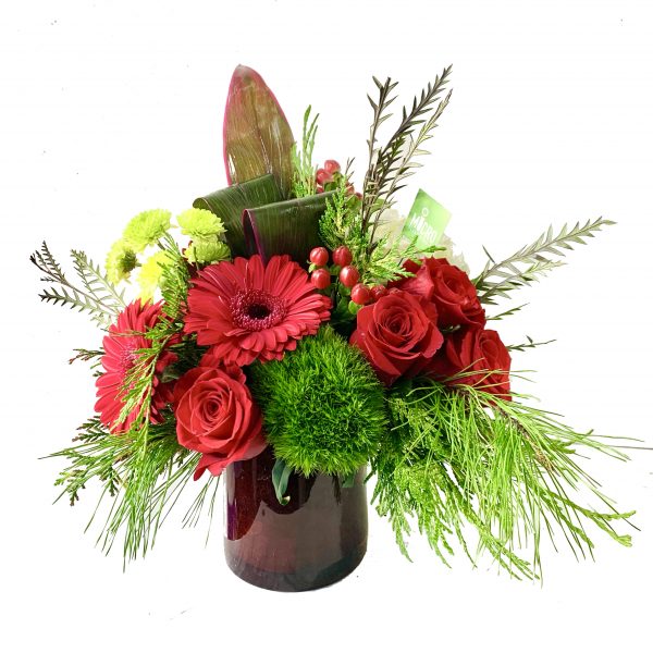 Joyous Winter Red