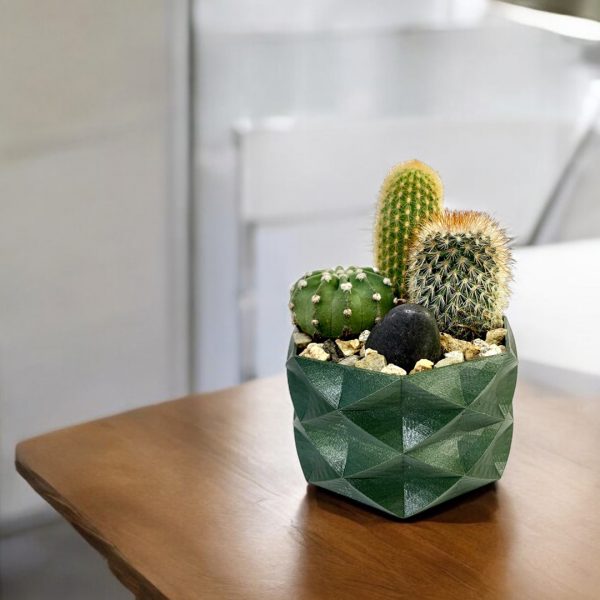 Prickly Love Terrarium - Image 2