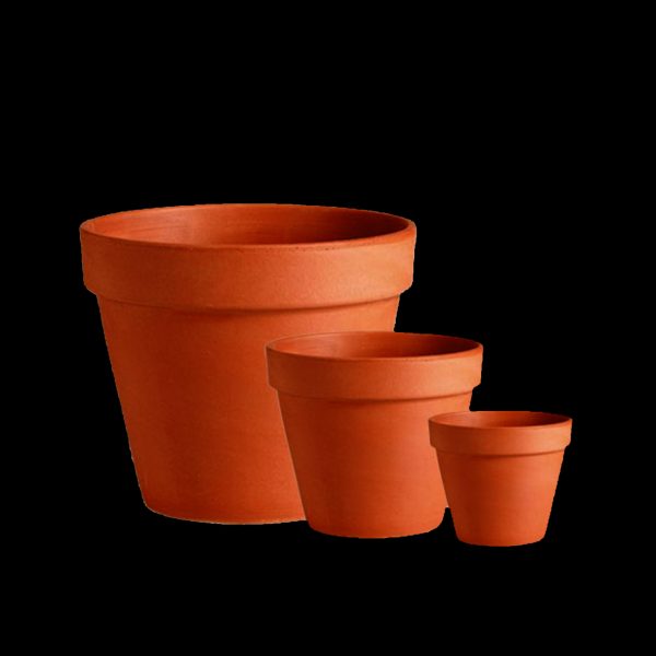 Repotting Plants & Selecting the Right Pot