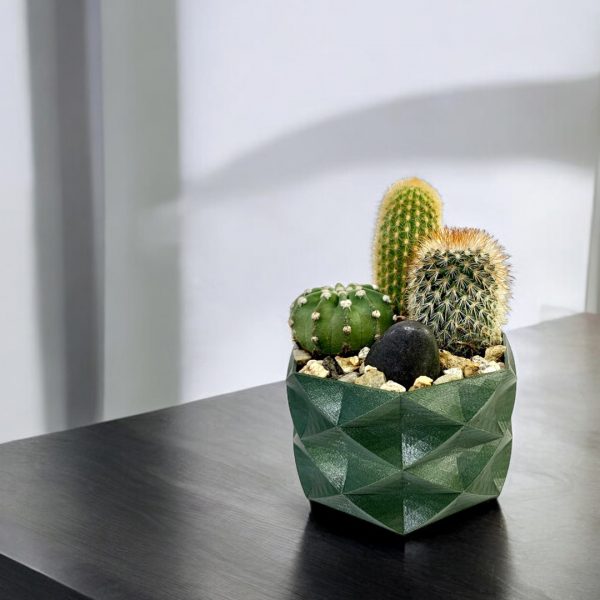Prickly Love Terrarium