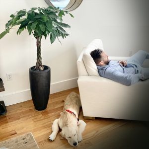Watering Plant Services
