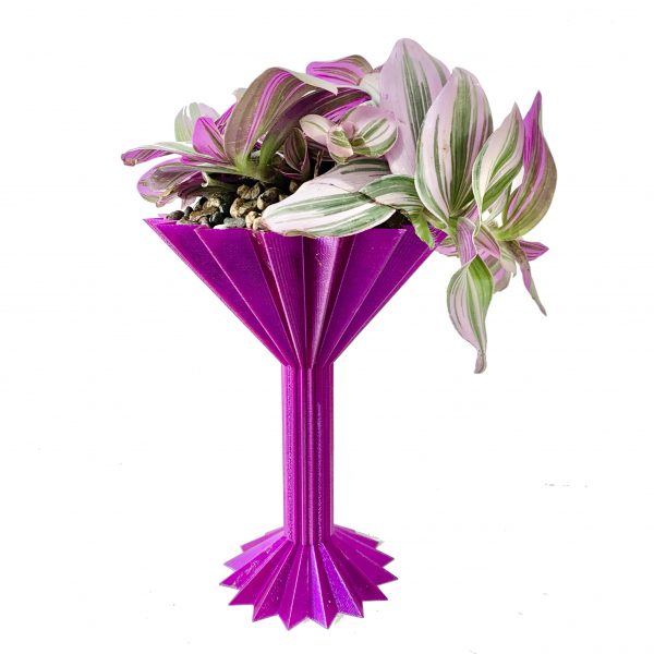 Plantini Love - Image 3