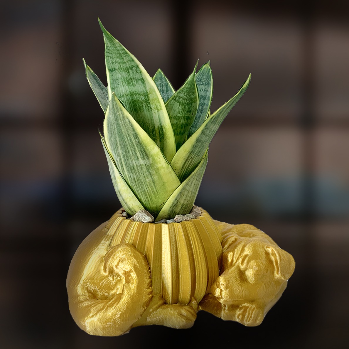 Sleeping Dog MICRO PLANT STUDIO sleeping-dog-micro-plant-studio