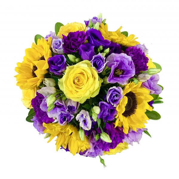 Sunshine Royals
