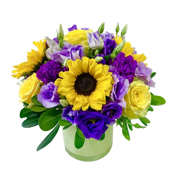 Sunshine Royals - Image 2