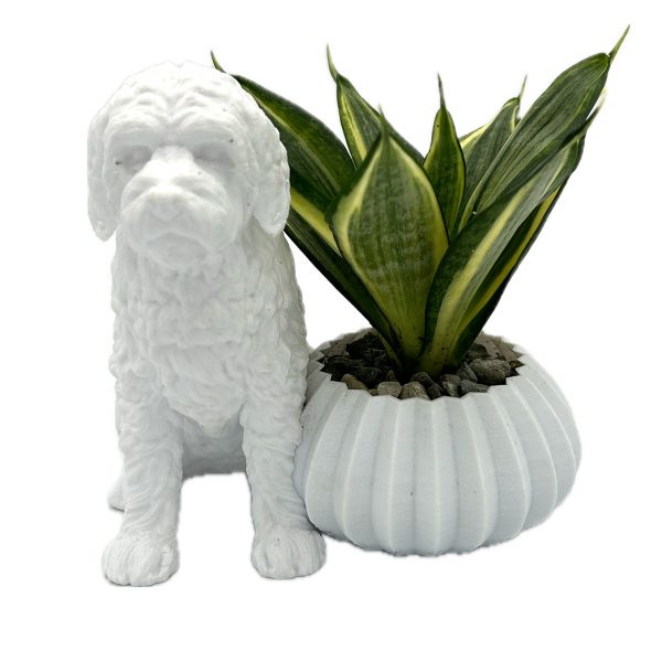Golden Poodle  Dog Pot