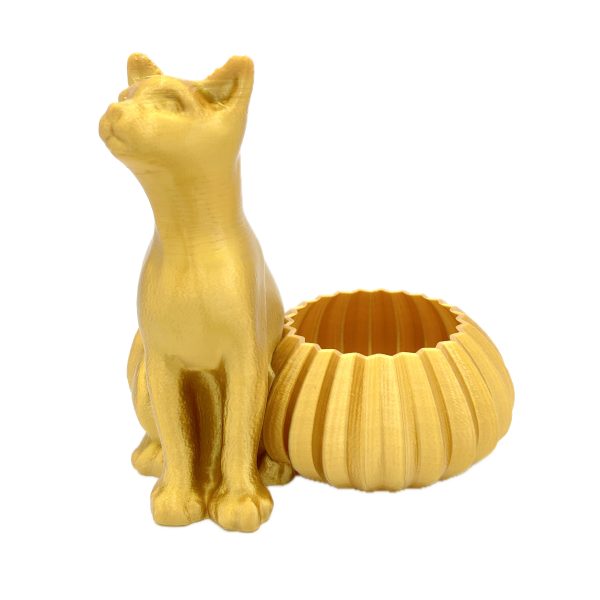 Looking Up Cat Pot