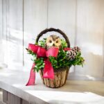 Owl in Basket