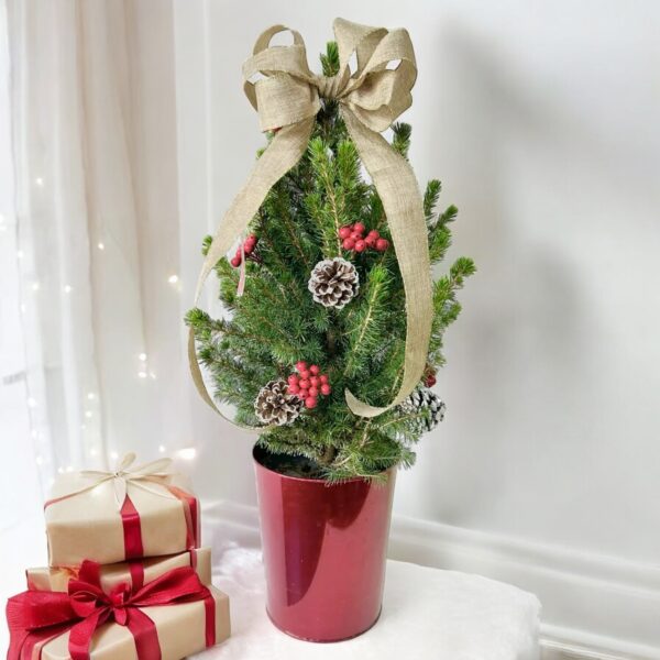 Table Top Christmas Tree Decorated