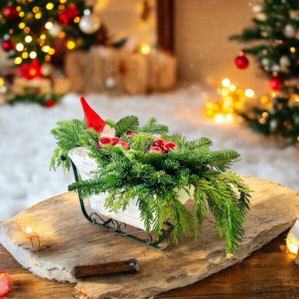 Santa Claus Sleigh
