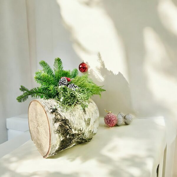 Winter Log - Image 2
