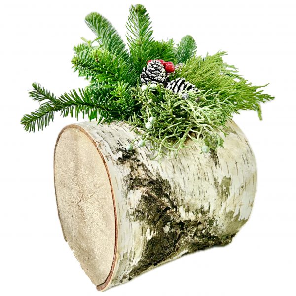 Winter Log - Image 3