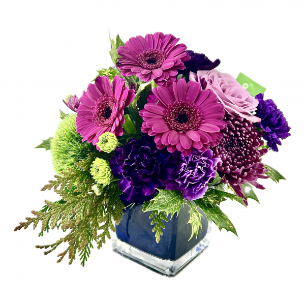 Winter Purple - Image 3