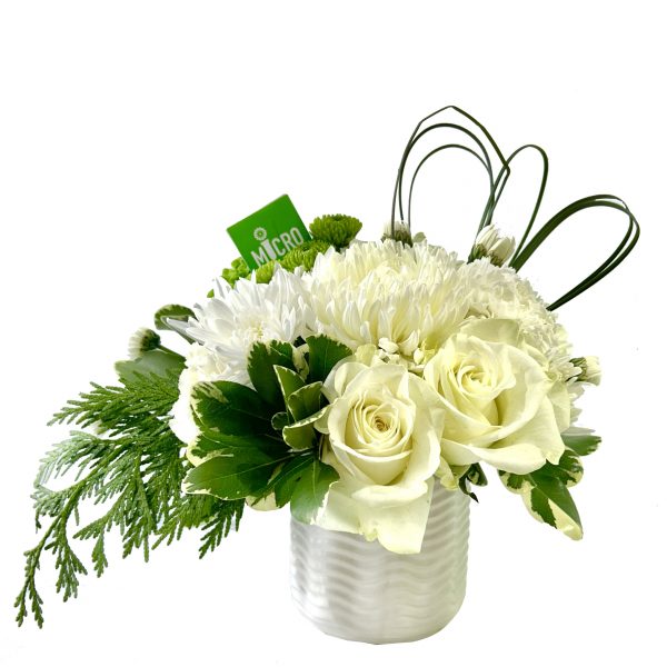 Wintery Love - Image 2