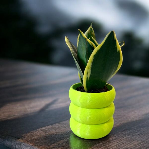 Testing Product Pet Friendly - Image 2