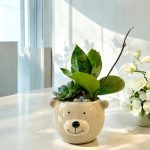 Terrarium Bear