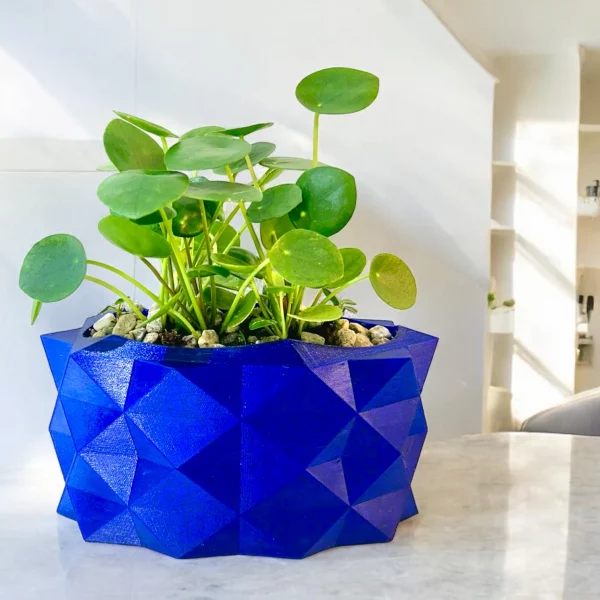 Pilea in Narrow Blue Alligator - Image 2