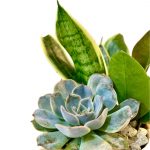 Terrarium Bear - Image 3