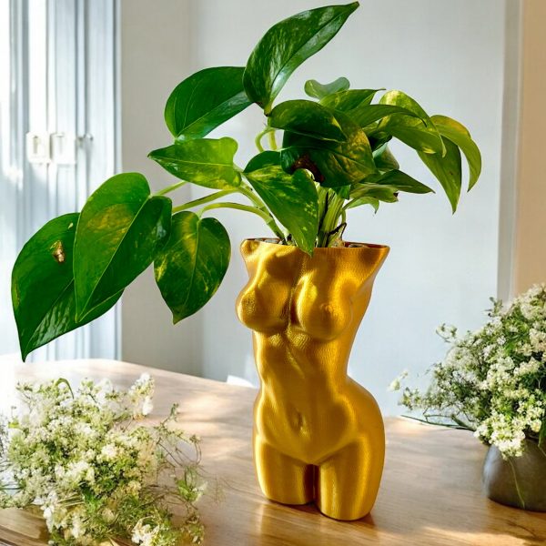 Pothos in Golden Girl Pot - Image 2