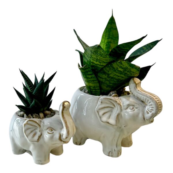 Elephant - Image 4