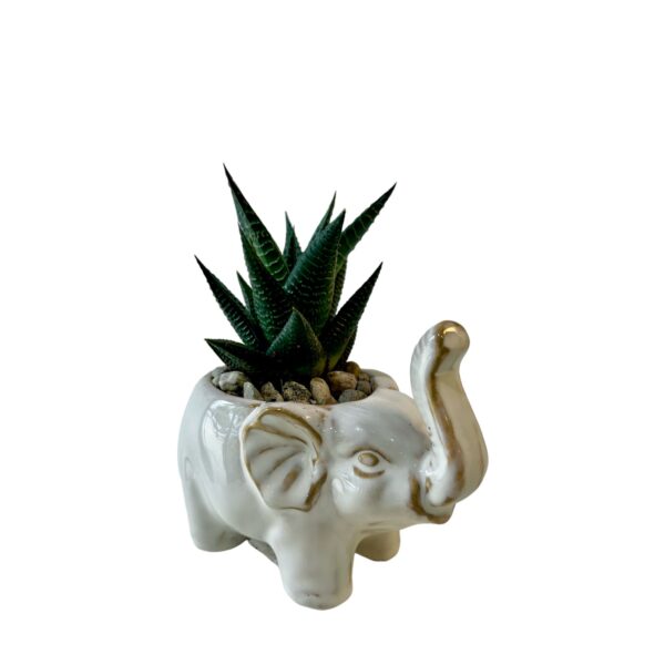 Elephant - Image 5