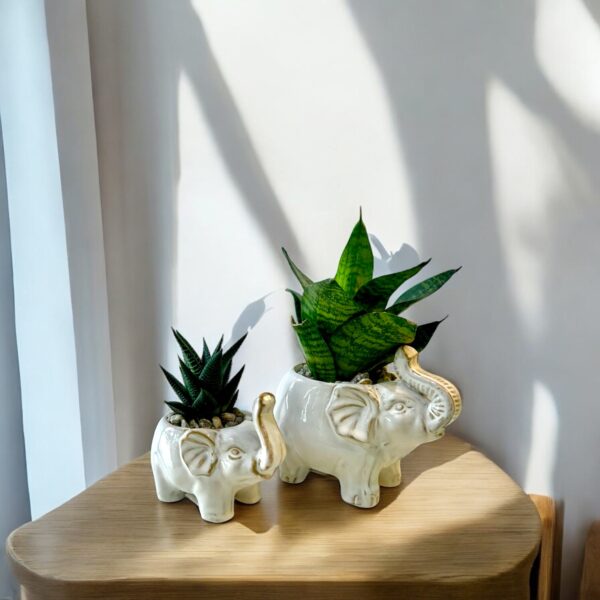Elephant - Image 2