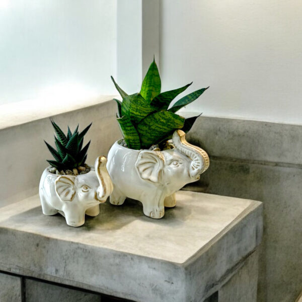 Elephant - Image 3