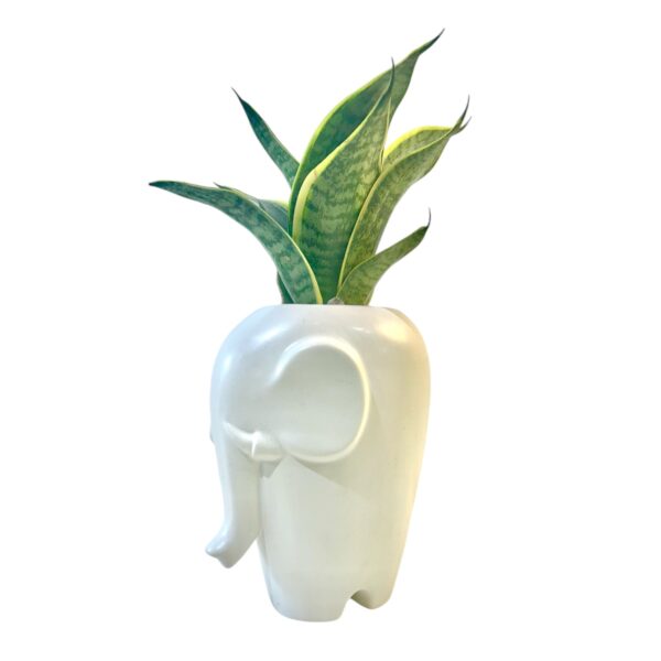 Tall Elephant - Image 2