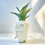 Tall Elephant