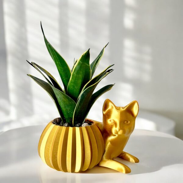 Snake Plant Potted in Cat
