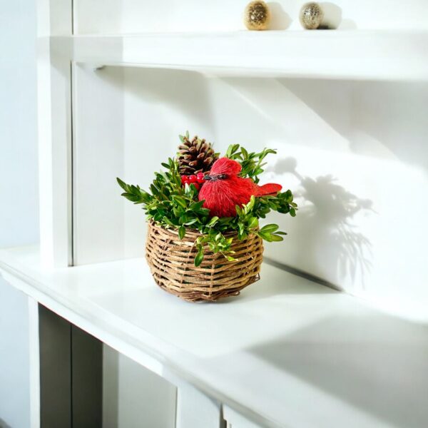 Cardinal Bird Nest - Image 2