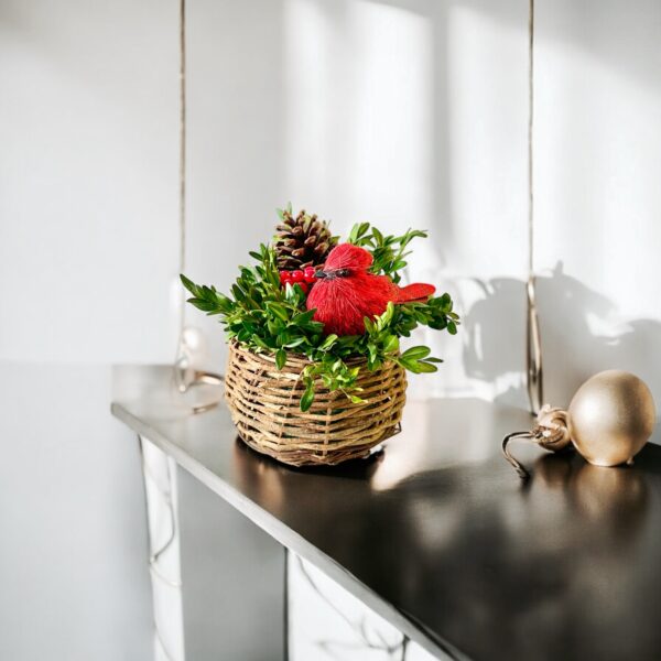 Cardinal Bird Nest - Image 3