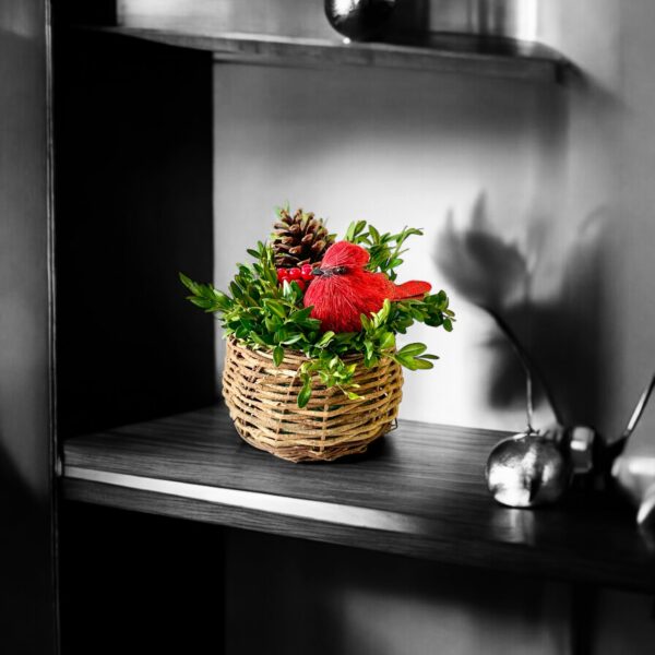 Cardinal Bird Nest - Image 4