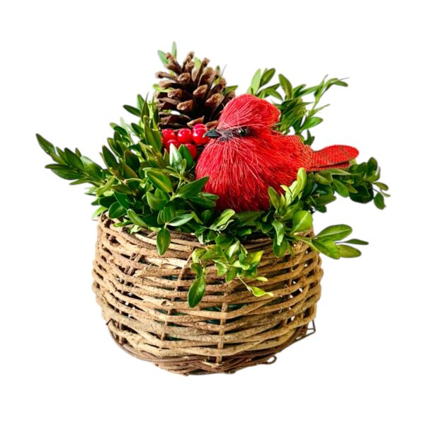 Cardinal Bird Nest - Image 5