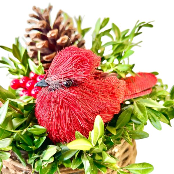 Cardinal Bird Nest - Image 6