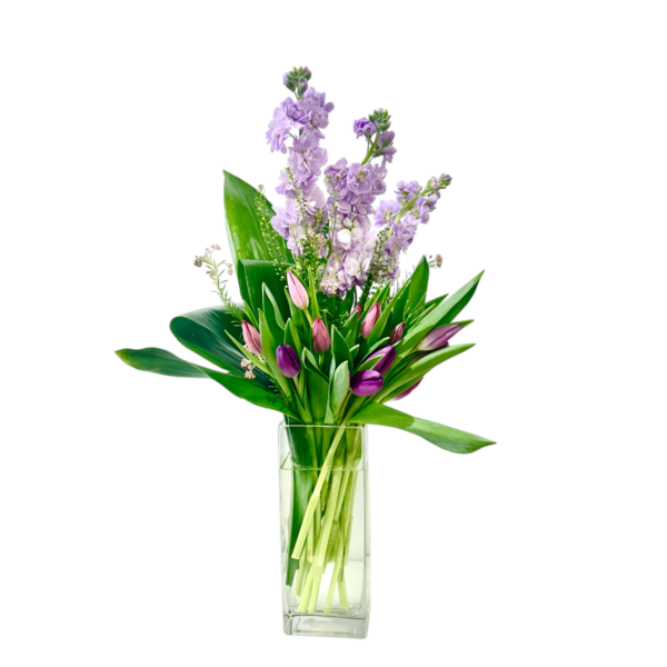 Sprouting Tulips - Image 2