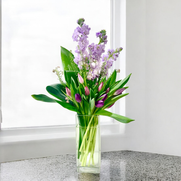 Sprouting Tulips