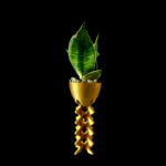 Ziggy Pot with Succulent - Image 6