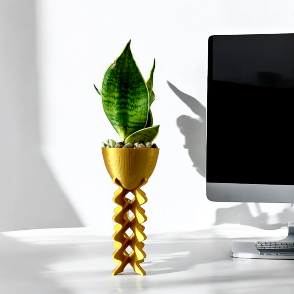 Ziggy Pot with Succulent - Image 4