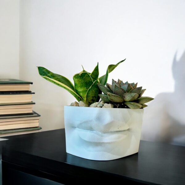 THE KISS: SUCCULENTS